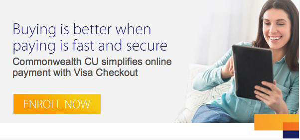 Visa Checkout Header